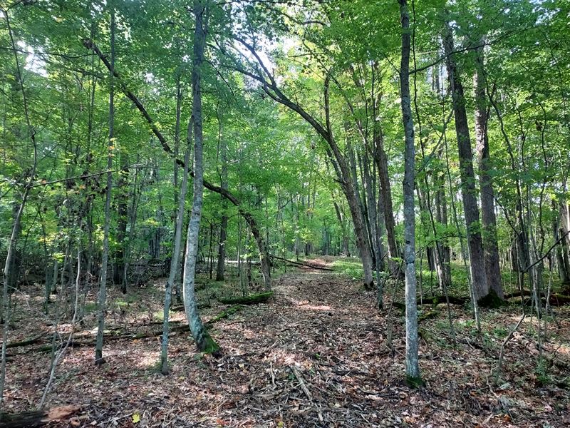 2.5 Acres Near Red Cedar River : Sand Creek : Dunn County : Wisconsin