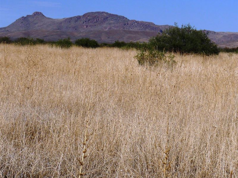 .27 Acre in Cochise County, AZ : Douglas : Navajo County : Arizona