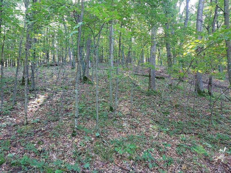 Nearly 4 Acres Adjacent State Land : Sand Creek : Dunn County : Wisconsin