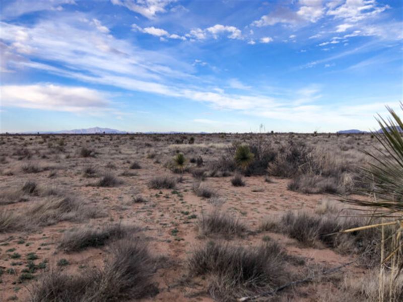 Florida Mountains or City Buzz : Deming : Luna County : New Mexico