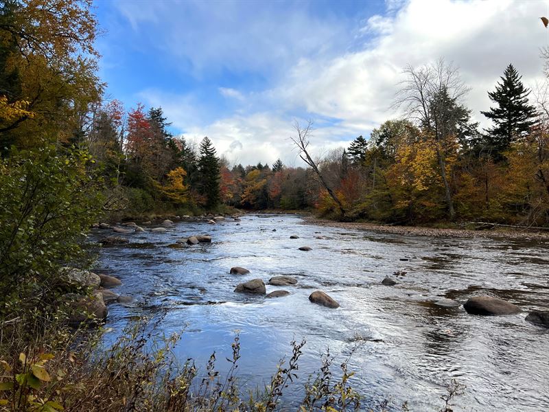 Cedar River, Adirondacks : Indian Lake : Hamilton County : New York