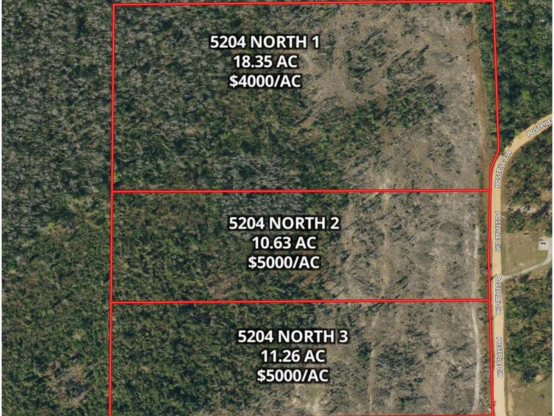 10.6 Ac Homesite Lot Jackson Co FL : Alford : Jackson County : Florida