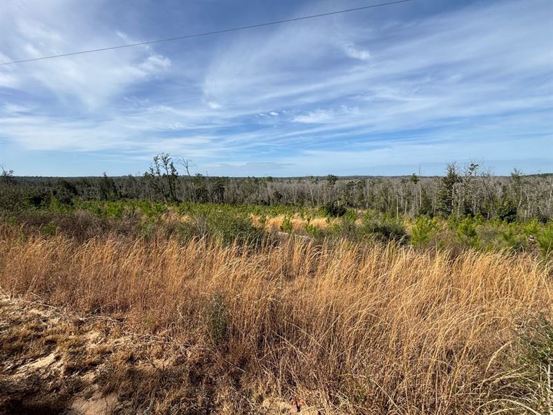 11.2 Ac Homesite Lot Jackson Co : Alford : Jackson County : Florida