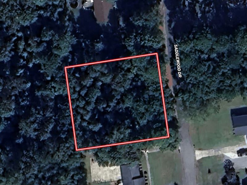 .46 Acre Residential Lot for Sale : Goldsboro : Wayne County : North Carolina