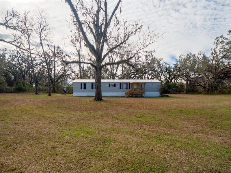 324 NE Delphinium : Madison : Madison County : Florida