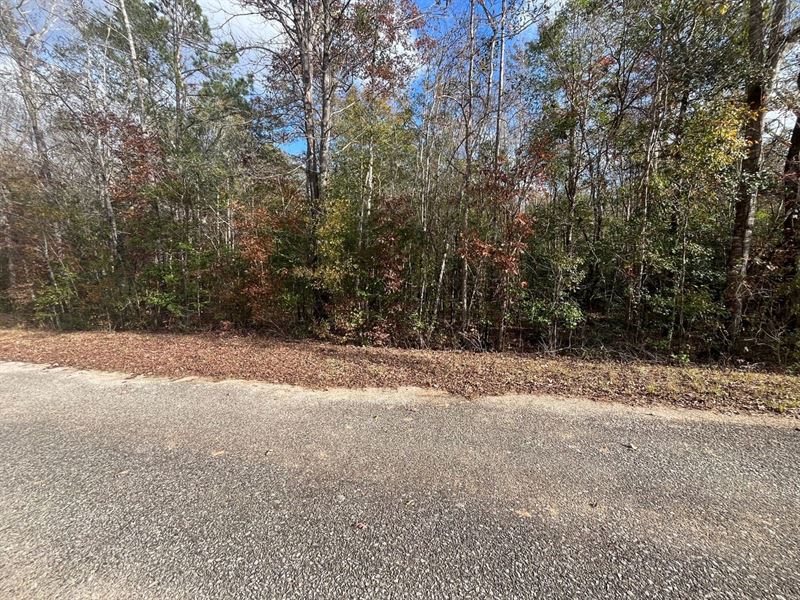 10.5 Ac Oakey Streak Rd : Greenville : Butler County : Alabama