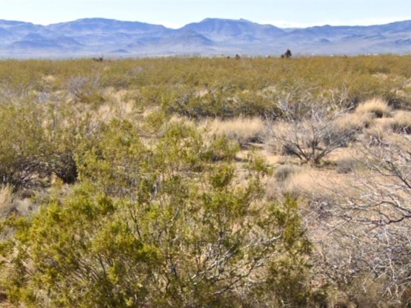 This Land is Waiting for You : Kingman : Mohave County : Arizona