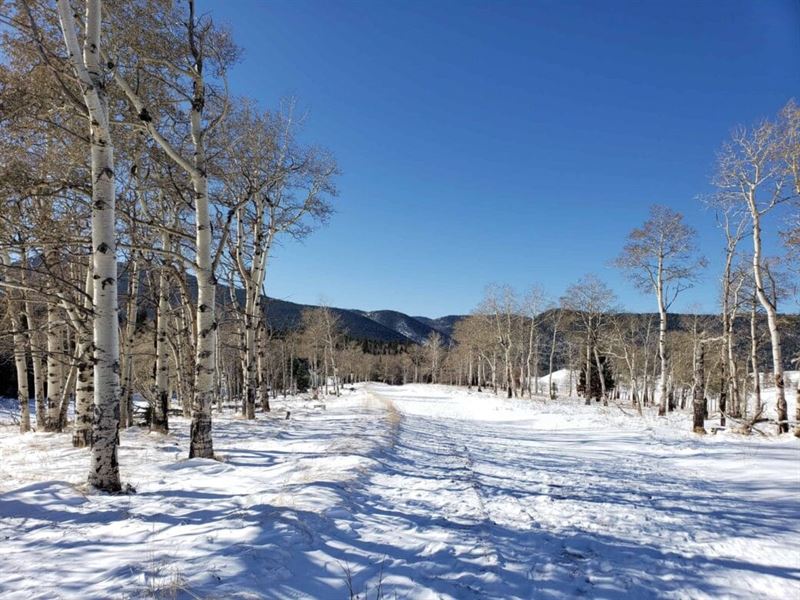 Wooded 1.41 Acres with Power : Fort Garland : Costilla County : Colorado