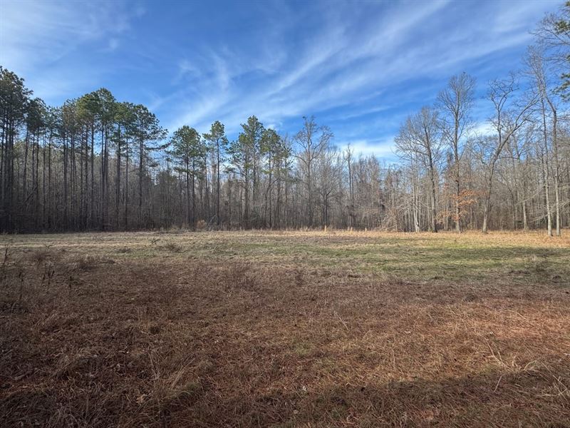 Black Warrior Bay Acreage : Sawyerville : Hale County : Alabama