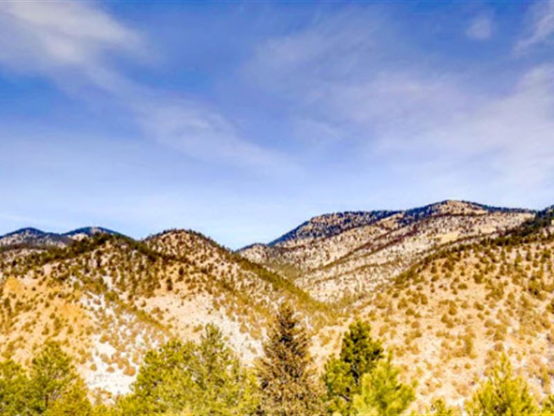 .50 Acres of Mountain Beauty : Idaho Springs : Clear Creek County : Colorado