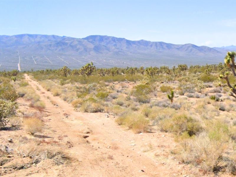 Camp, Ride, Explore 1 Ac in Arizona : Meadview : Mohave County : Arizona