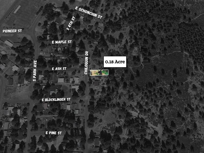 Nice Lot for Sale, Cash Quick : Chiloquin : Klamath County : Oregon