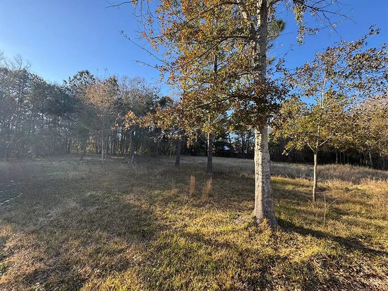 .32 Acre Lot 9 Jackson County, MS : Saint Martin : Jackson County : Mississippi