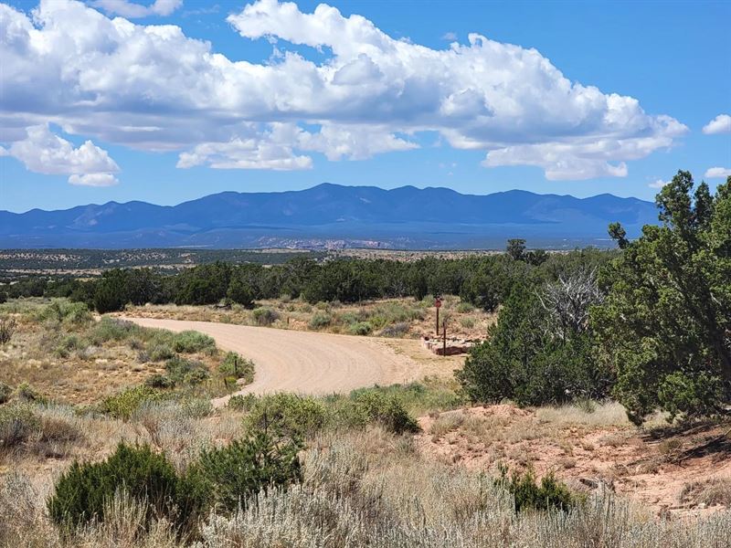 Gorgeous Mtn Home Setting for You : Mountainair : Torrance County : New Mexico