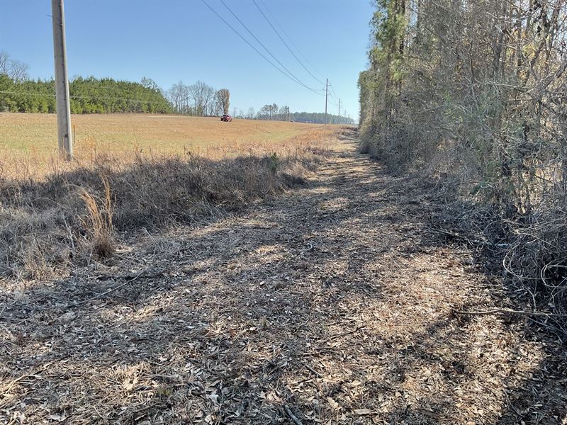 Beasley Highway 331, 4 Acre Lot : Luverne : Crenshaw County : Alabama