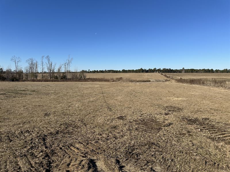 Owner Financed Acreage : Swainsboro : Emanuel County : Georgia