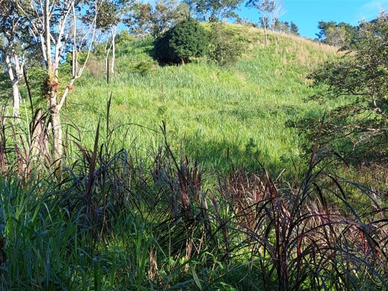 Beautiful Farm in Puriscal : Puriscal Mercedes Sur : Costa Rica