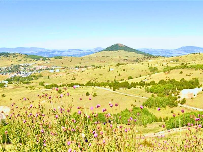 Overlooking Cripple Creek : Cripple Creek : Teller County : Colorado