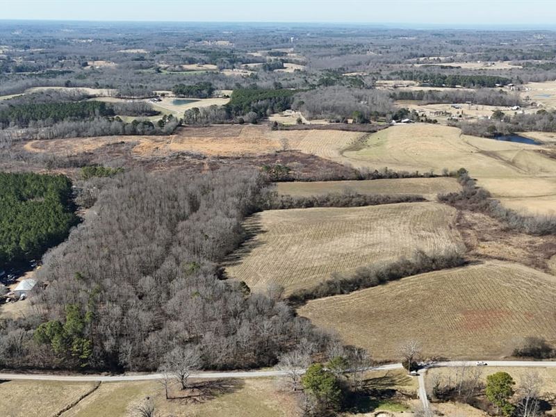 Cullman County, AL Mini-Farm Lot 4 : Cullman : Cullman County : Alabama