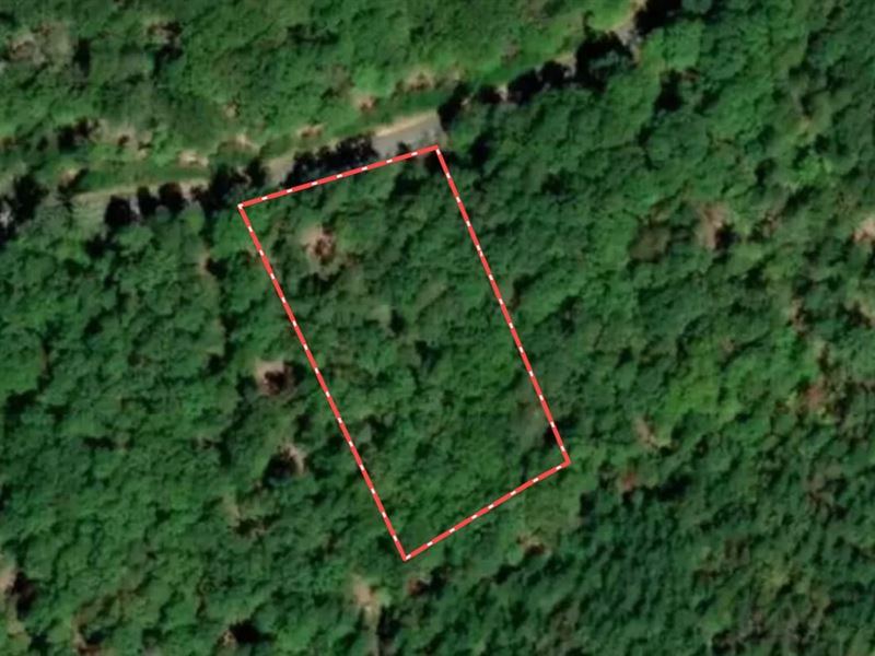 1.5 Acre Lot for Sale in Davidson : Denton : Davidson County : North Carolina