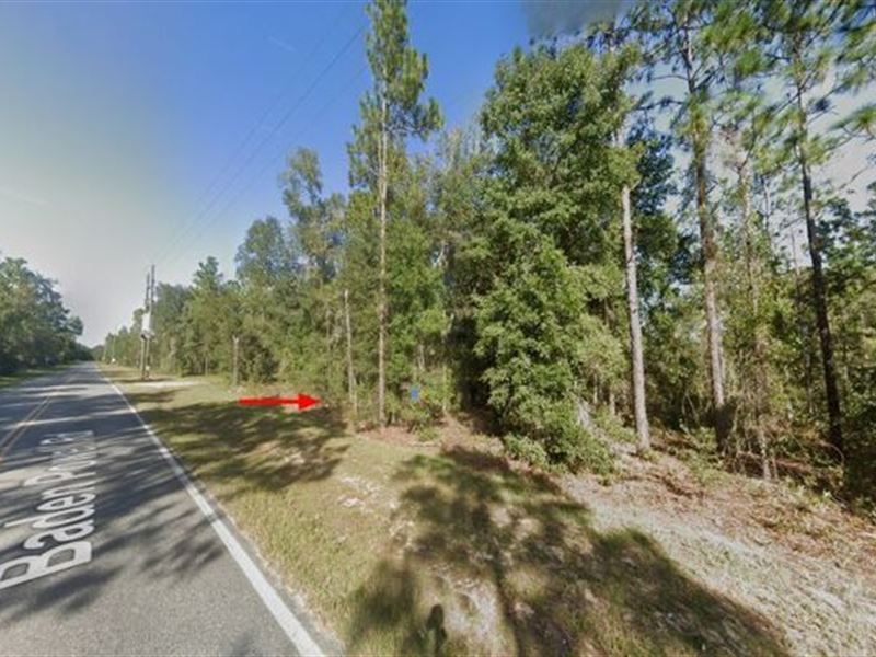 Ideal for Investors or Builders : Hawthorne : Putnam County : Florida