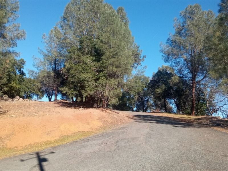 .54 Acre Lake and Mountain View Lot : Kelseyville : Lake County : California