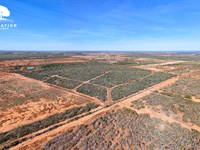 Jourdanton 101-T6, Only $15K Down : Jourdanton : Atascosa County : Texas