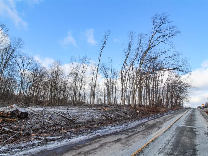 Wayland Rd, 13 Acres, Portage Cou : Tallmadge : Portage County : Ohio