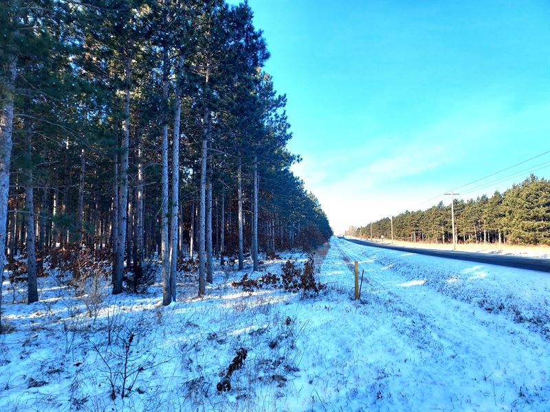 9 Acres Adams County Near Rome, WI : Rome : Adams County : Wisconsin