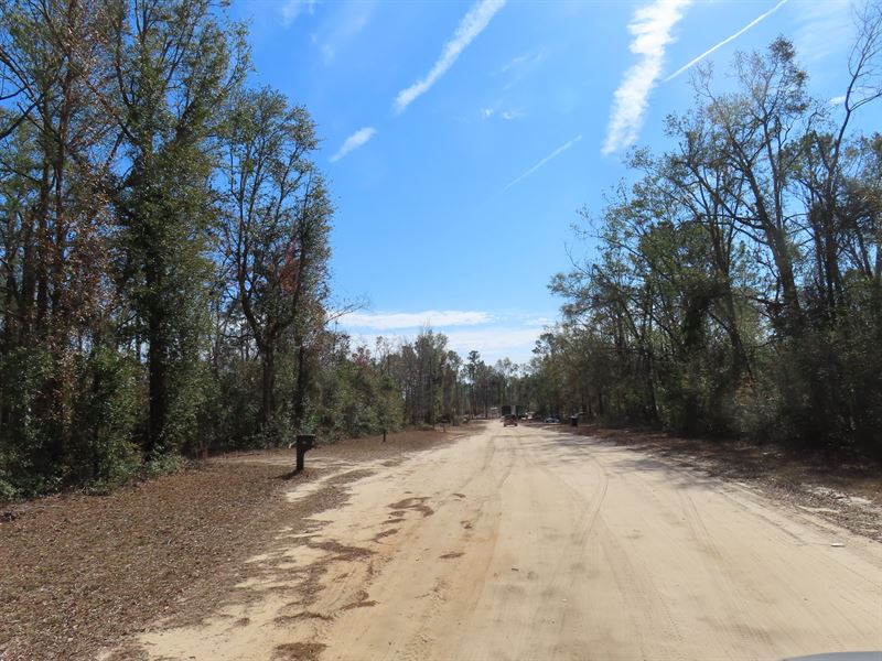 This Much Land in Florida : Oak Blvd : Hamilton County : Florida