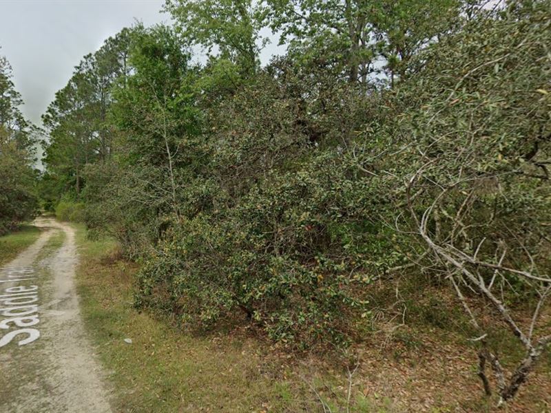 President's Sale on Saddle Trail : Interlachen : Putnam County : Florida