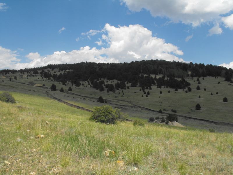 Mountain Retreat in Cripple Creek : Cripple Creek : Teller County : Colorado