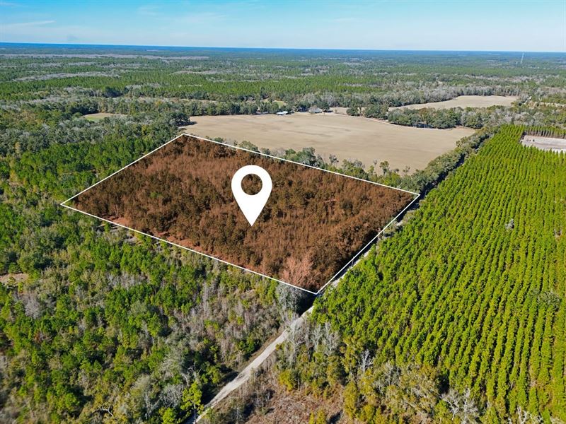 12 AC in Wakulla County : Crawfordville : Wakulla County : Florida