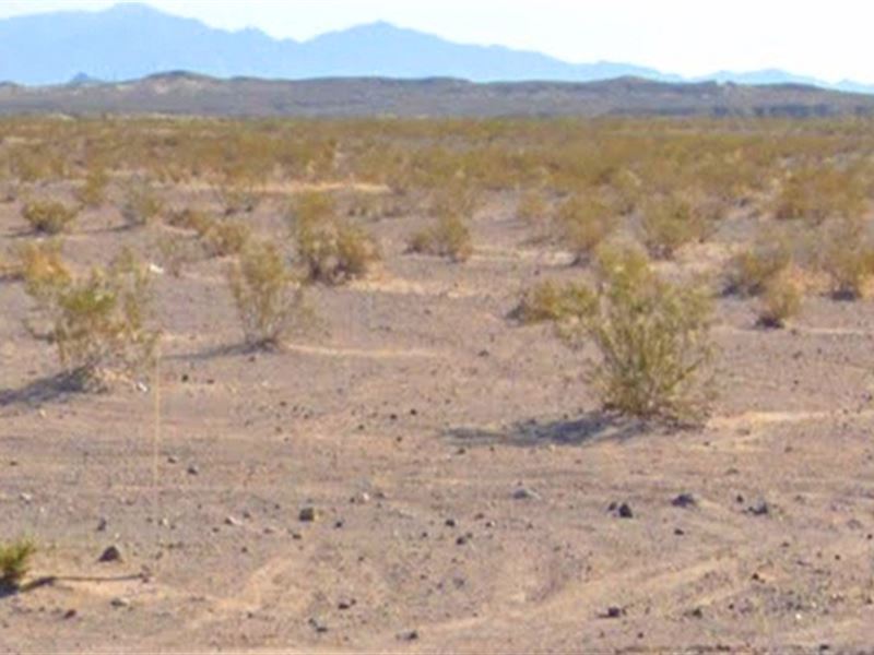 Five Acres in Topock for $550 : Topock : Mohave County : Arizona