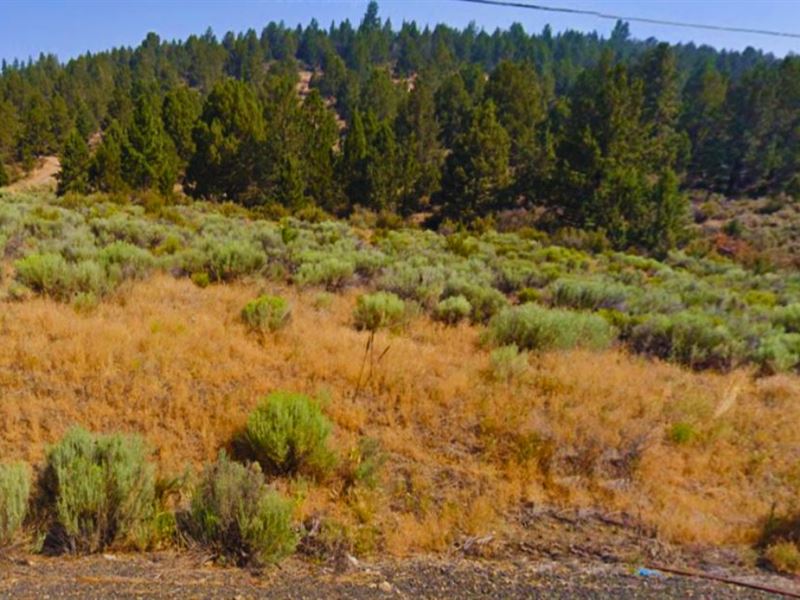 Owning Lot Near Sprague River : Sprague River : Klamath County : Oregon