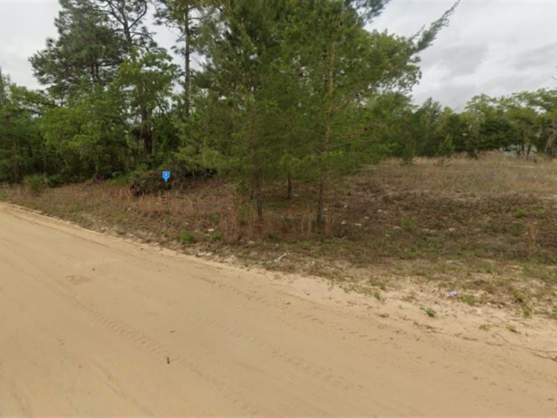 Fishing and Hiking on 0.25 Acres : Satsuma : Putnam County : Florida