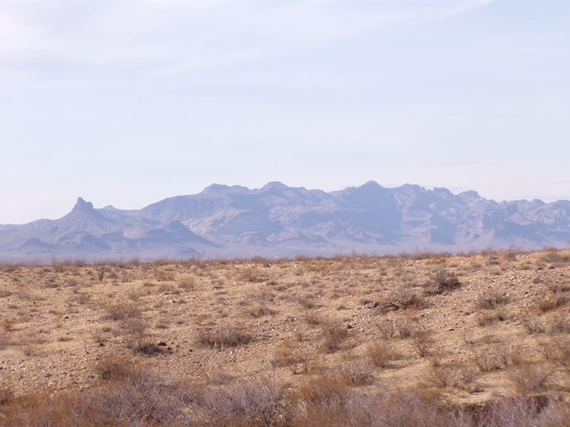 A Rock Hounds Dream Escape : Oatman : Mohave County : Arizona