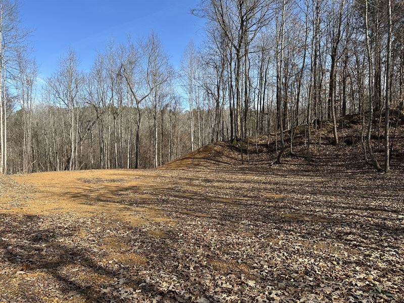 Unrestricted Land in TN for Sale : Morris Chapel : Hardin County : Tennessee