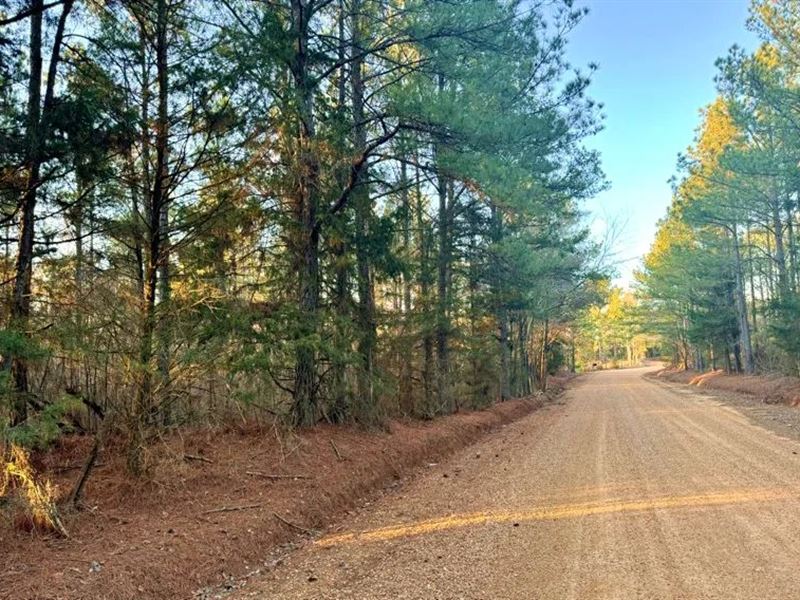 15 Acres in Attala County in Kosciu : Kosciusko : Attala County : Mississippi