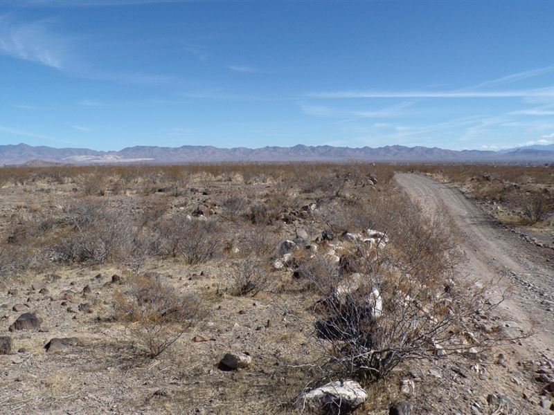 Your Family Homestead Awaits : Golden Valley : Mohave County : Arizona