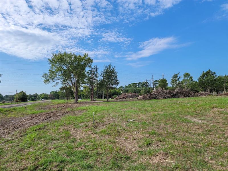 2 Acres, FM 980 & Hill St : Riverside : Walker County : Texas