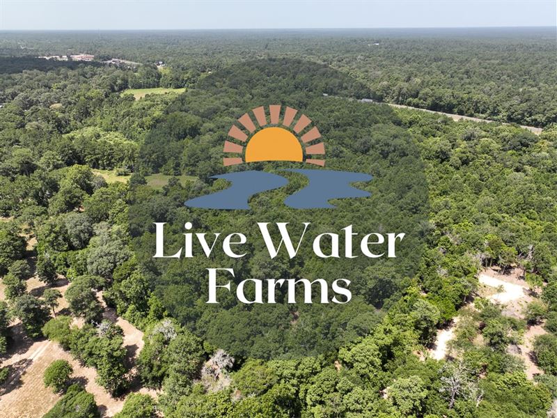 5 Acres, Live Water Farms, S1 L2 : Shepherd : San Jacinto County : Texas