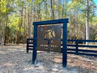 11.7 Acres, FM 350, T-9, Plum Cr : West Livingston : Polk County : Texas