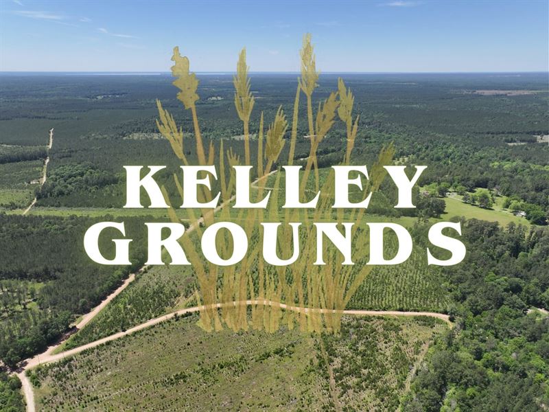 2.8 Acres, Lot 1-2, Kelley Ground : Indian Springs : Polk County : Texas