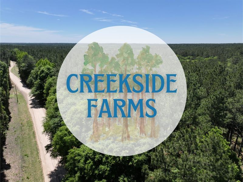 4.9 Acres, Lot 5, Creekside Farms : Livingston : Polk County : Texas