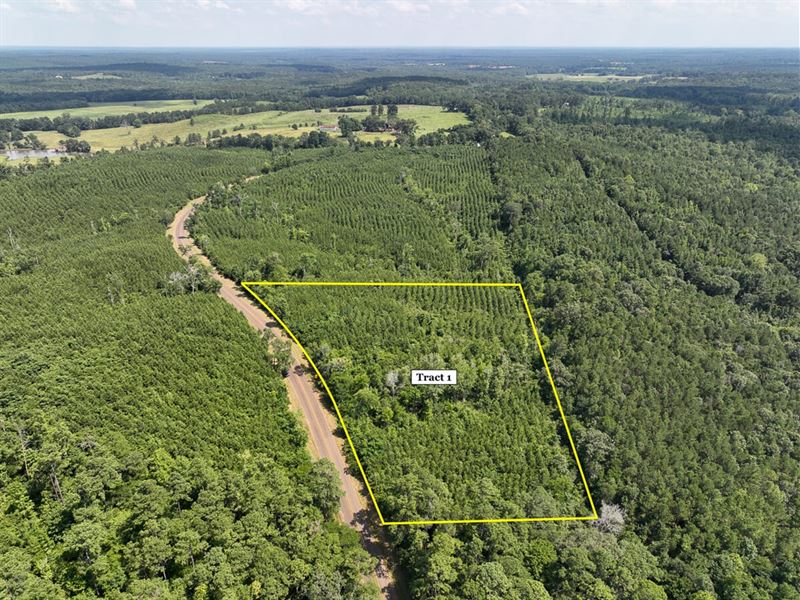 5 Acres, T-1, State Road 35, 101 : Geneva : Sabine County : Texas