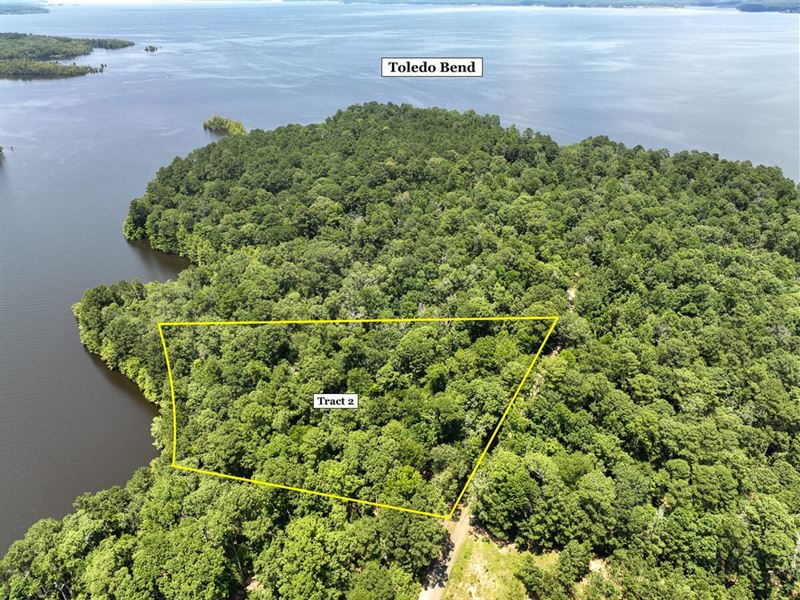 4 Acres, T-2, New Haven Road, 10 : Milam : Sabine County : Texas