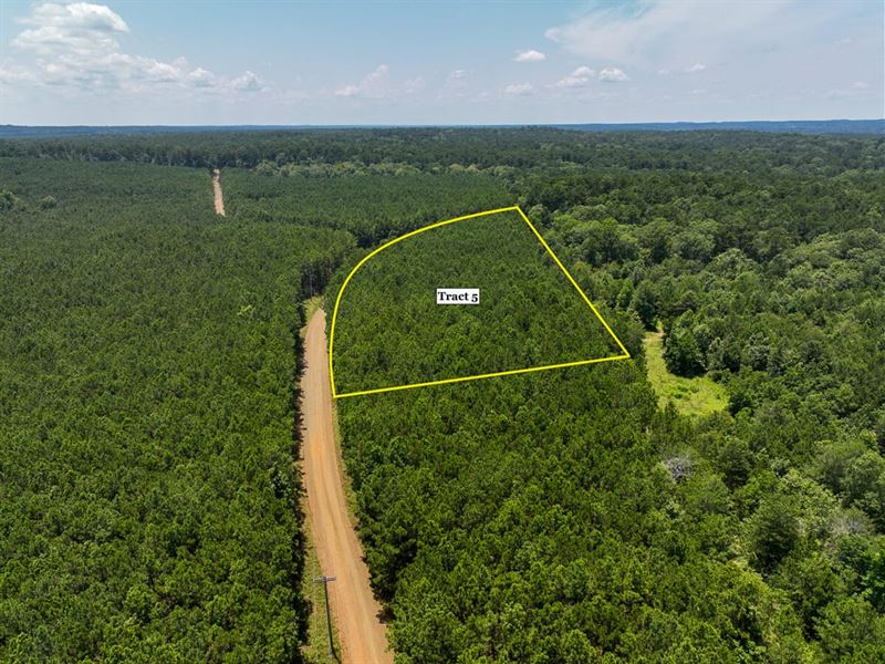 2 Acres, T-5, Bayou Road, 1023 : Hemphill : Sabine County : Texas