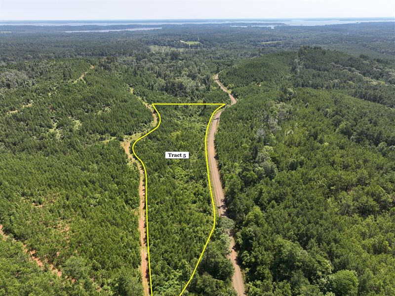 4 Acres, T-5, Carters Ferry Road : Milam : Sabine County : Texas