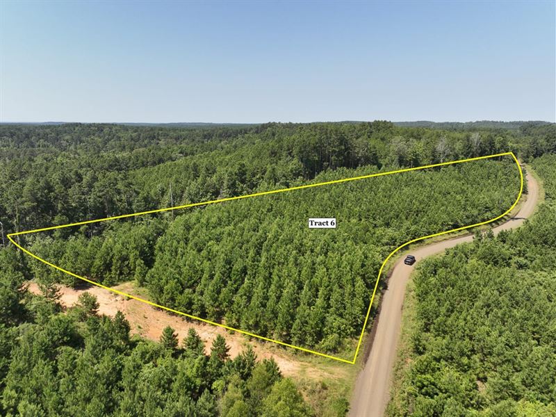 4 Acres, T-6, Carters Ferry Road : Milam : Sabine County : Texas